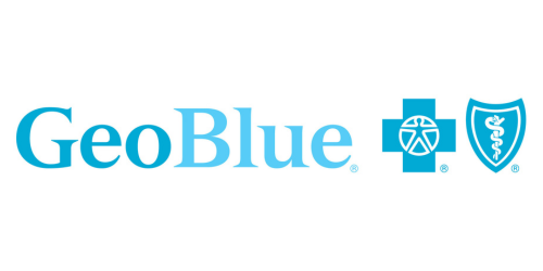 Geo Blue Logo